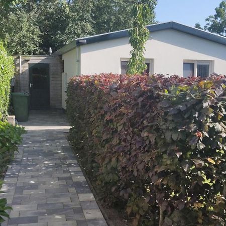 Vakantiebungalow Texel De Cocksdorp  Bagian luar foto