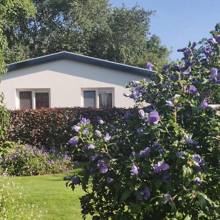 Vakantiebungalow Texel De Cocksdorp  Bagian luar foto