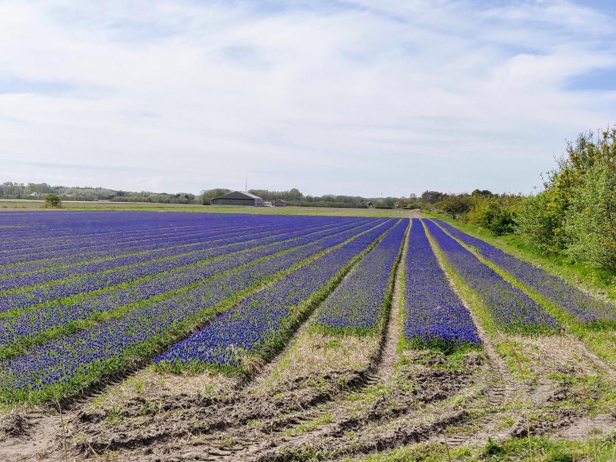 Vakantiebungalow Texel De Cocksdorp  Bagian luar foto