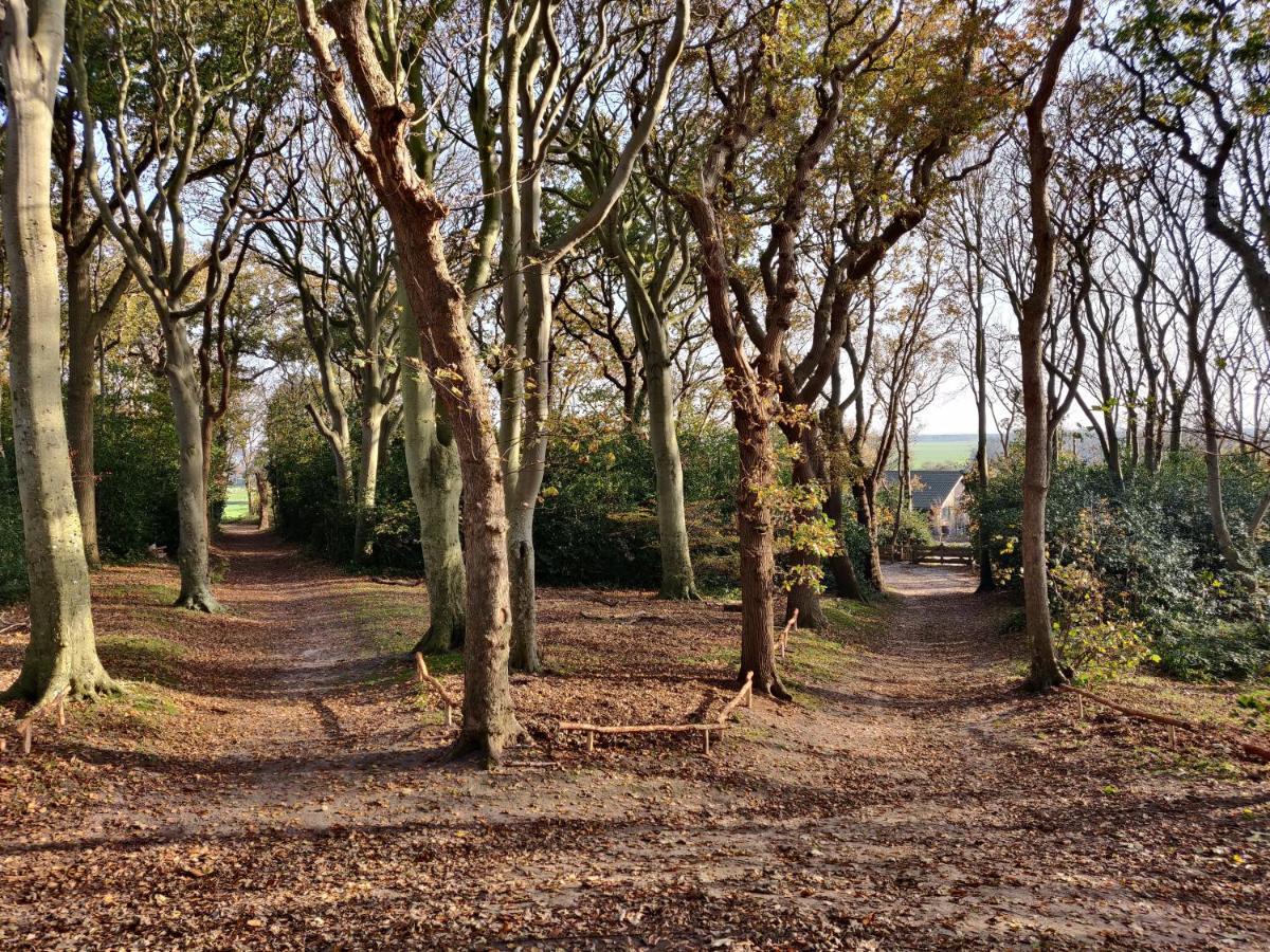 Vakantiebungalow Texel De Cocksdorp  Bagian luar foto