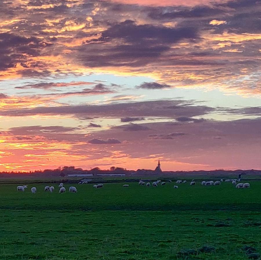Vakantiebungalow Texel De Cocksdorp  Bagian luar foto