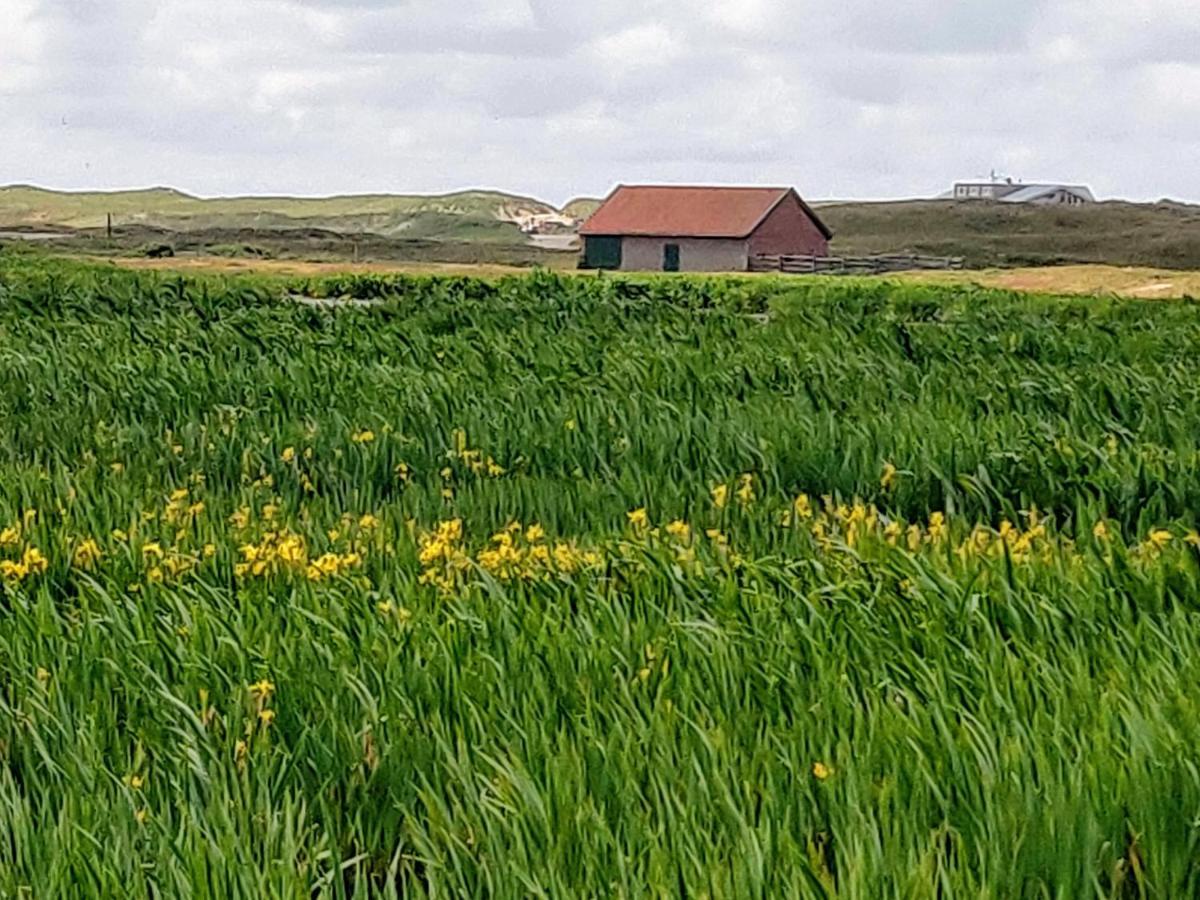 Vakantiebungalow Texel De Cocksdorp  Bagian luar foto