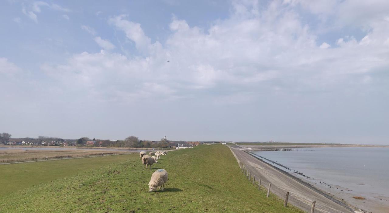Vakantiebungalow Texel De Cocksdorp  Bagian luar foto
