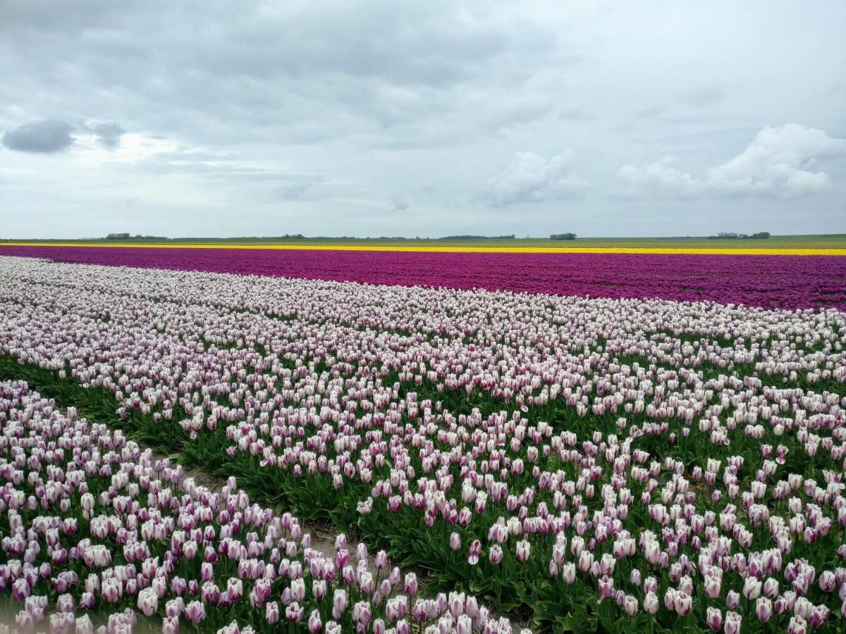 Vakantiebungalow Texel De Cocksdorp  Bagian luar foto