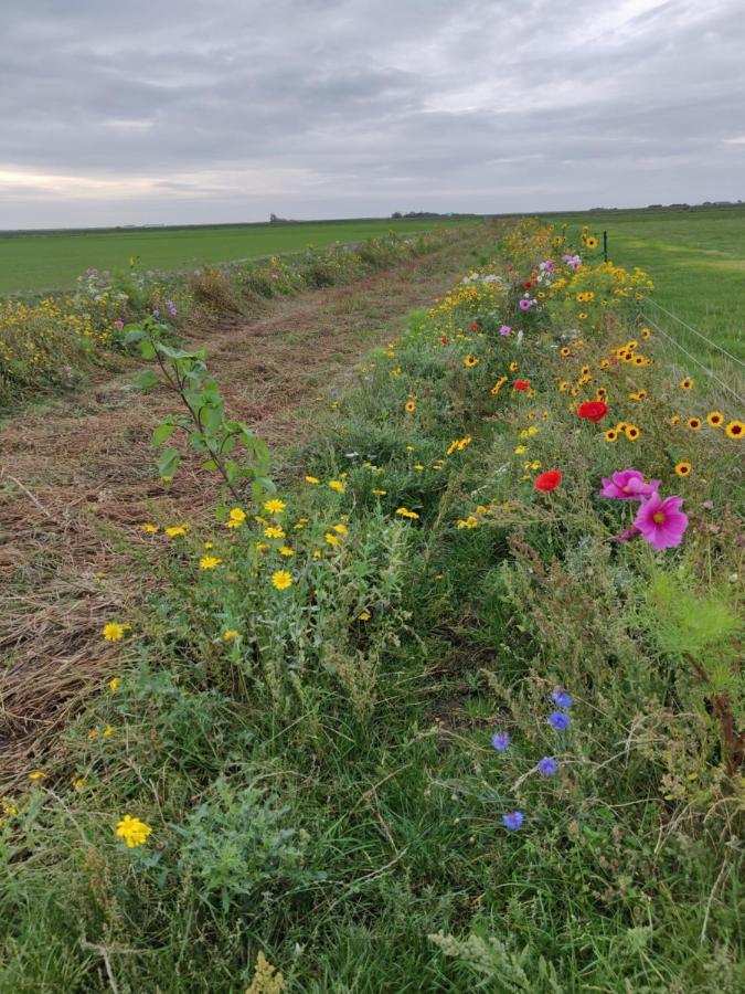 Vakantiebungalow Texel De Cocksdorp  Bagian luar foto