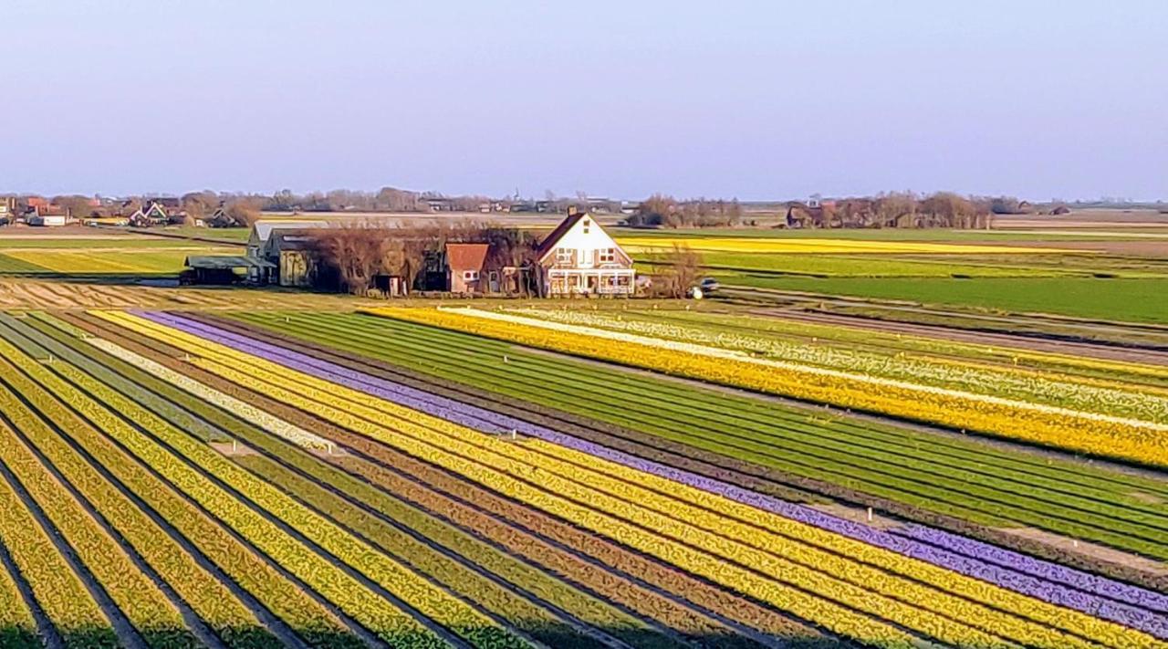 Vakantiebungalow Texel De Cocksdorp  Bagian luar foto