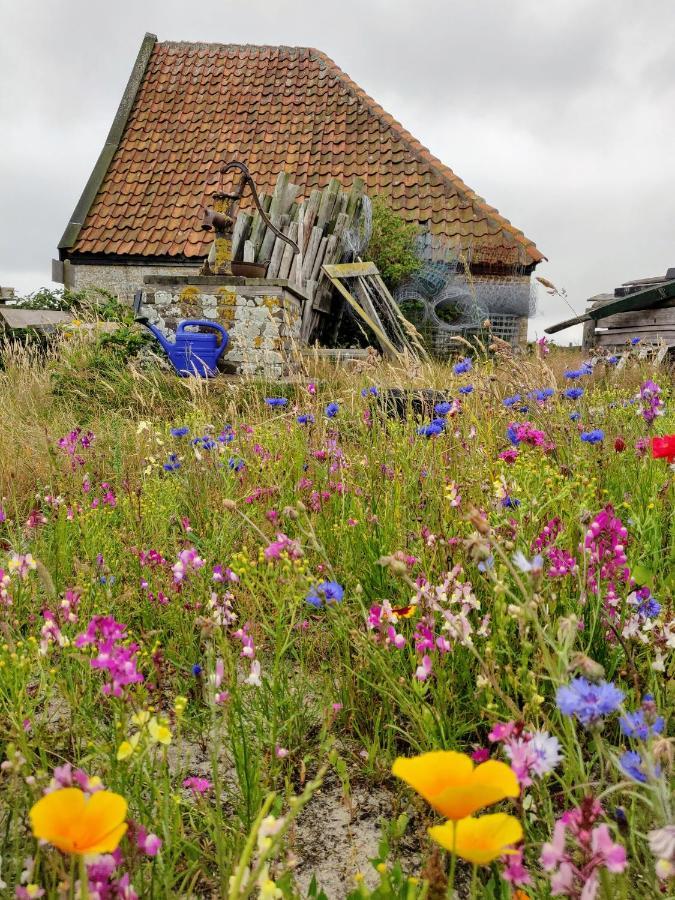 Vakantiebungalow Texel De Cocksdorp  Bagian luar foto