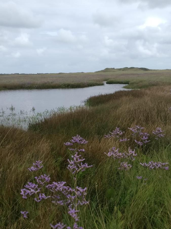 Vakantiebungalow Texel De Cocksdorp  Bagian luar foto
