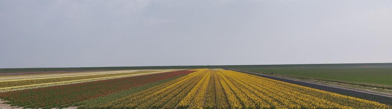 Vakantiebungalow Texel De Cocksdorp  Bagian luar foto
